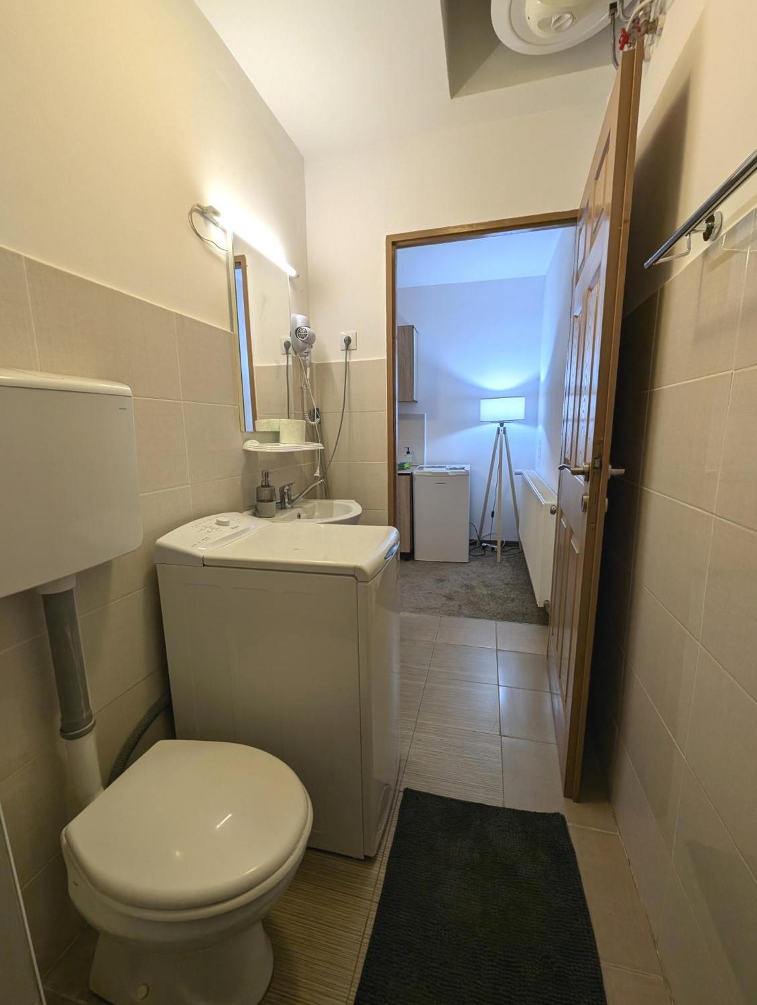 Sandor Central Studio Apartment Târgu-Mureş المظهر الخارجي الصورة